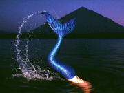 The Summer of Slightly Okay: 5 AI Coaches, 1 Mission to Help You Chill Out