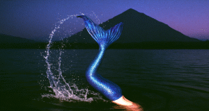 The Summer of Slightly Okay: 5 AI Coaches, 1 Mission to Help You Chill Out