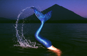 The Summer of Slightly Okay: 5 AI Coaches, 1 Mission to Help You Chill Out